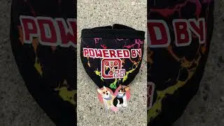 Are Pop Culture-Themed Pet Bandanas Worth It? You Decide #shorts