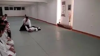 Ryotedori Jiyu Waza