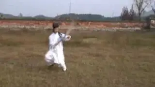 武当师行功夫馆 太乙拂塵Wudang Taoist Kungfu School Chen shixing tai yi horse whisk