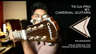 Cardinal TS-GA-Pro Trans Semi-Acoustic Guitar | Demo/Review/Overview (4K)