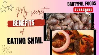 TOP 7 HEALTH BENEFITS OF EATING SNAILS!pepper snail! weight loss! protein! and more.