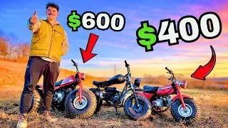 Racing the CHEAPEST Mini bikes I could find!