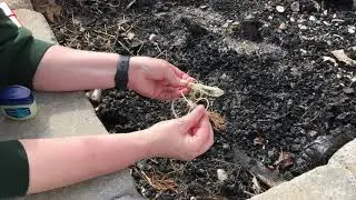 Rating Fire Starters