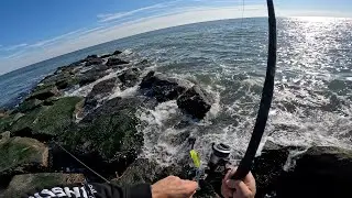 Winter Jetty Fishing (What Species Are Around?)