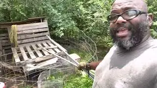 Dudley Hillside Homestead: Chicken Move