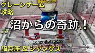 【クレーンゲーム】沼からの奇跡！【攻略】