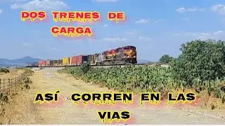 Dos trenes a mucha velocidad #trenes #viralvideo #ferrocarril #mexicanos 