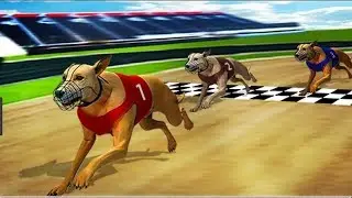 Dog Race 2019
