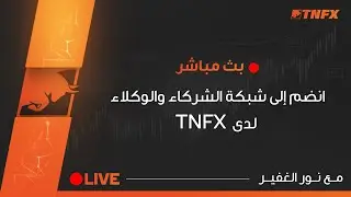انضم إلى شبكة الشركاء والوكلاء لدى TNFX