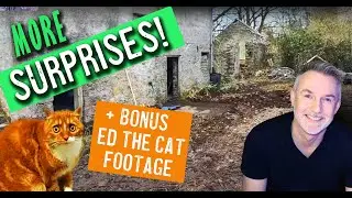Garden Clearance Continues: Concrete Path Revealed Beside Old Granary! Bonus Footage of Ed The Cat 😺
