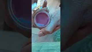 Hi Everyone🫶unboxing the secrets of healthy skin🤍 #naturalingredients #nosideeffects #fairyorganics🍃