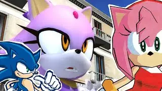Sonic the Third Wheelhog