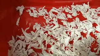 COMO HACER SUSTRATO DE PAPEL PARA LA ESQUINERA DE TU CONEJITO (muy fácil)