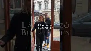 Randi helysz&iacute;n Budapesten