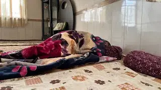 Iran nomadic life|daily routine village woman life of Iran|country life in Iran#nomads #iran#village