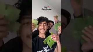 Gaza grapes leaves 🇵🇸💔 #palestine #freepalestine #gaza #shorts