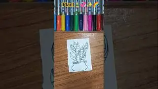 How to draw snake plant🎍✨💞🌈#Shorts#Plantdrawing😱#drawingtutorial#easydrawing#satisfying#youtube#art💖
