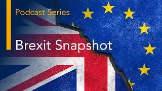 Brexit Snapshot Podcast Episode 1: Retained EU law and beyond