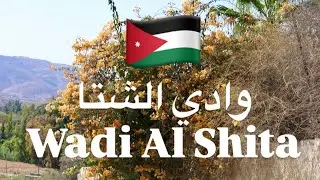 من غابات أبو السوس إلى وادي الشتاء | مغامرة وتنظيف الطبيعة 🌿 🇯🇴