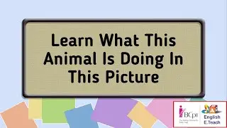 Learn What This Animal Is Doing In This Picture | Stage-1 | Unit- 6 | Lesson-32