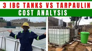 Cost of Installing 300 Capacity Fish Farm With 3 IBC Tanks vs 500 Capacity Tarpaulin Pond