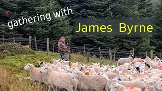James Byrne comes from a 200year old line of mountain sheep farmers