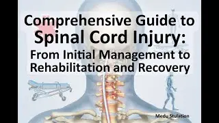 Comprehensive Guide to Spinal Cord Injury From Initial Management to Rehabilitation and Recovery