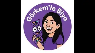 TYT Biyoloji Kampı 3. Gün Hücre