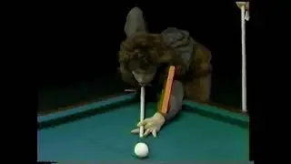 POOL SCHOOL...2