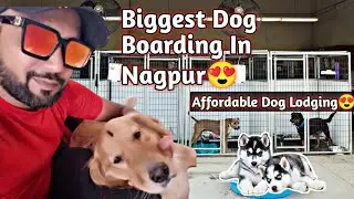 Best Dog Boarding in Nagpur😍 | Safe & Affordable Services