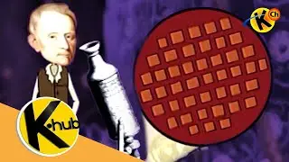 Development of the Cell Theory | K-Hub