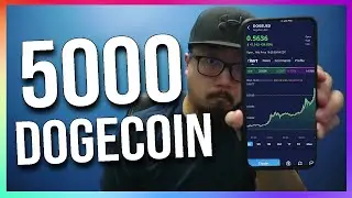 Я купил 5000 Dogecoin &mdash; сколько я заработал (WeBull Dogecoin)
