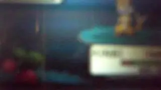 pokemon perl shiny bamelin