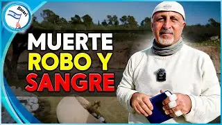 ¡Incomodo! La muerte de los primogenitos y la de los niños de Gaza