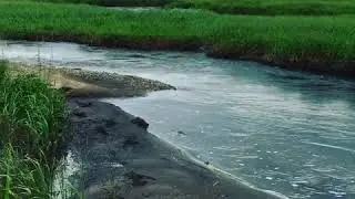 Park County Colorado - Middle Fork of the South Platte River during Spring runoff 2021
