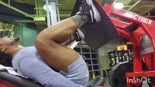 Bro Split Volume Training 2025 - Legs - Week 3
