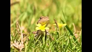 Booderee National Park