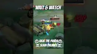 #WAIT & WATCH## AKAI THE PANDA🐼 STICK SLAIN ENEMIES☠️☠️☠️