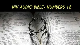 NUMBERS 18 NIV AUDIO BIBLE (with text)