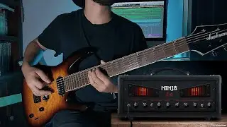 Ninja Amp Sim (NaLex) + ML Sound Lab