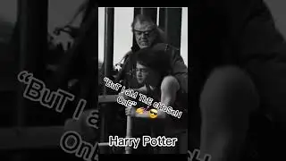 Meet the Harry Potter characters #funny #hp #harrypotter