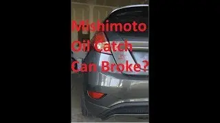 Fiesta ST Mishimoto Oil Catch Can 15k Update & FL400S Oil Filter