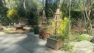 Sarah P  Duke Gardens Video