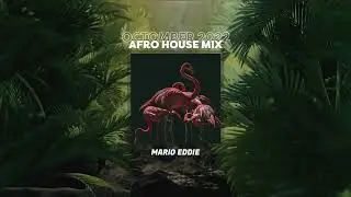 AFRO HOUSE MIX | OCTOMBER 2022 / by Mario Eddie | EP 020