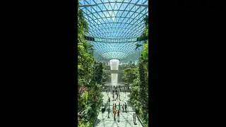 World's Tallest Indoor waterfall | Singapore Changi Airport #rainvortex #singapore #shorts