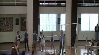 Sarah H springfield bars 2