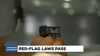 Local attorney gives insight on &lsquo;red flag&rsquo; bill passed by Senate