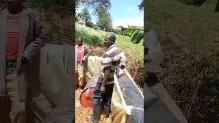Umbo feeds Kenya  for silage making 0722691781  anywhere inside or outside the country 