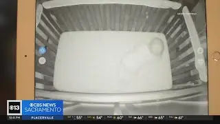 Expensive baby monitor switches to subscription model, parents are ticked