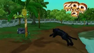 Zoo Tycoon 2 Black Leopard Hunting Mountain Gorilla